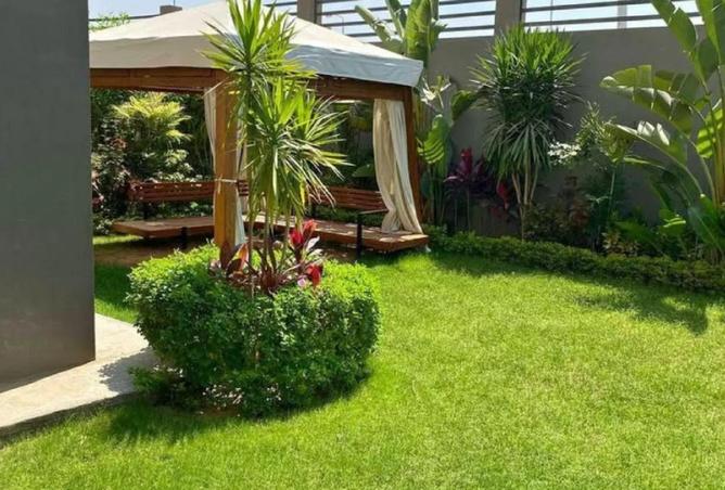 51677684 - Property Image 3