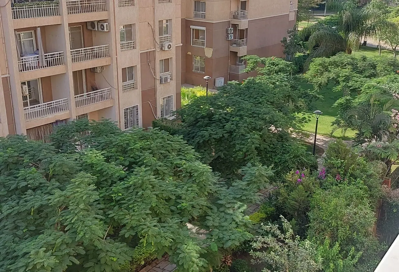 115969538 - Property Main Image