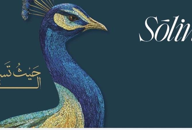 61693456 - Property Image 2