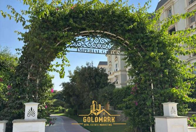 53980261 - Property Image 3