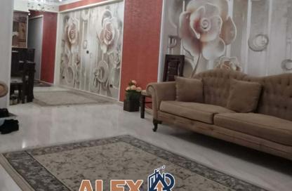 Apartment - 2 Bedrooms - 1 Bathroom for sale in Abou Quer Road - Zezenia - Hay Sharq - Alexandria Apartment - 2 Bedrooms - 1 Bathroom for sale in Abou Quer Road - Zezenia - Hay Sharq - Alexandria
