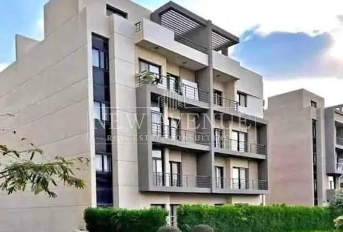 113523082 - Property Image 2