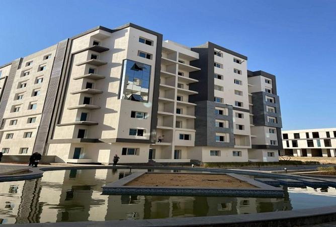 74585779 - Property Image 3