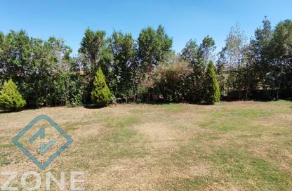 Villa - 4 Bedrooms - 4 Bathrooms for rent in Privado - Madinaty - Cairo