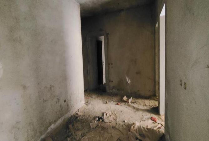 86141247 - صورة العقار 3