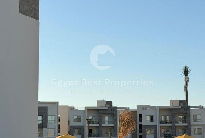 99118667 - صورة العقار 3