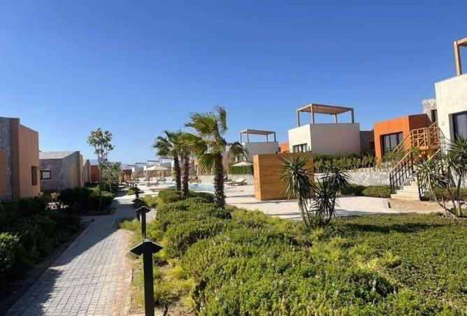 8624052 - صورة العقار 3