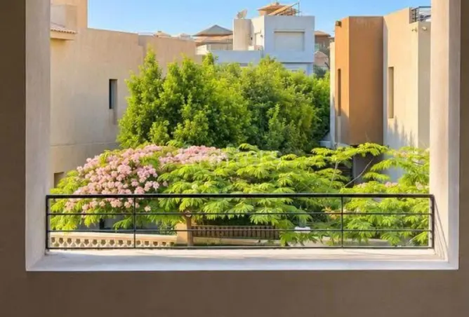 116741356 - Property Image 3