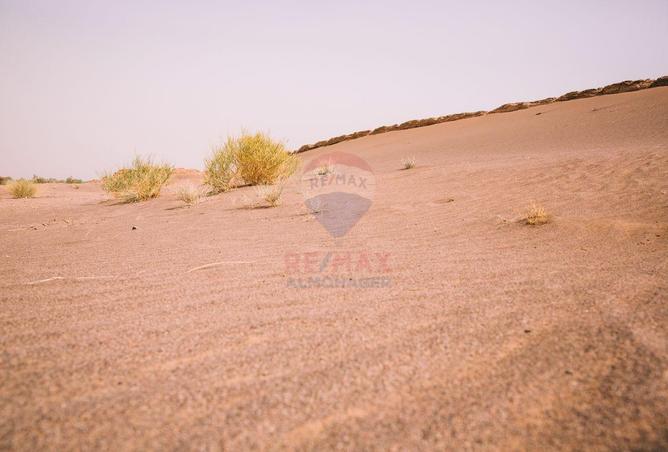 79987437 - صورة العقار 2