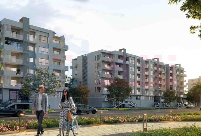 62407979 - Property Image 3