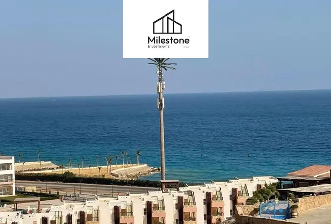 115710535 - صورة العقار 2