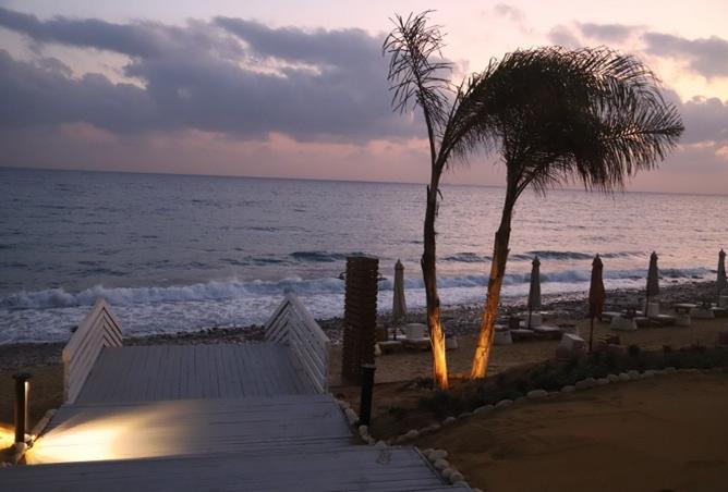 109352890 - صورة العقار 3