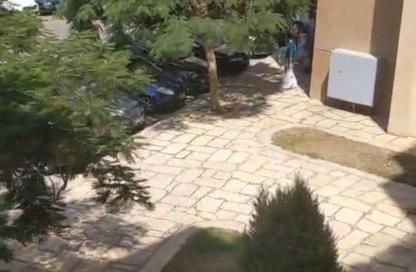 Apartment - 2 Bedrooms - 1 Bathroom for rent in B7 - Madinaty - Cairo