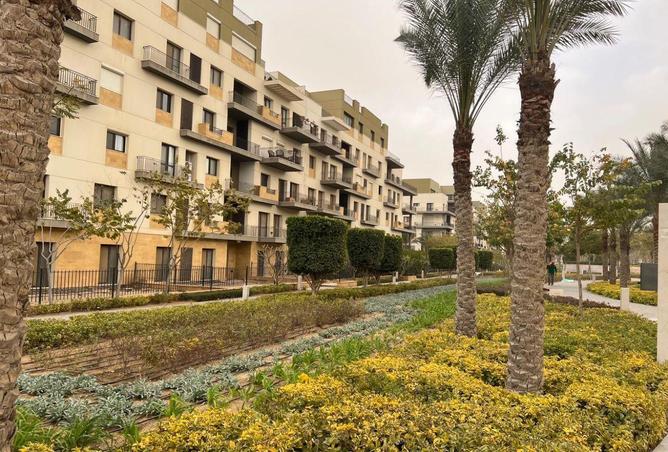 57753257 - Property Image 3