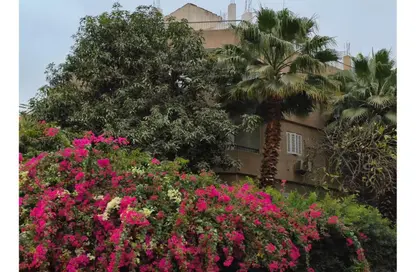 بناية كاملة - 8 غرف نوم - 8 حمامات للبيع في المعادي الجديدة - حي المعادي - القاهرة