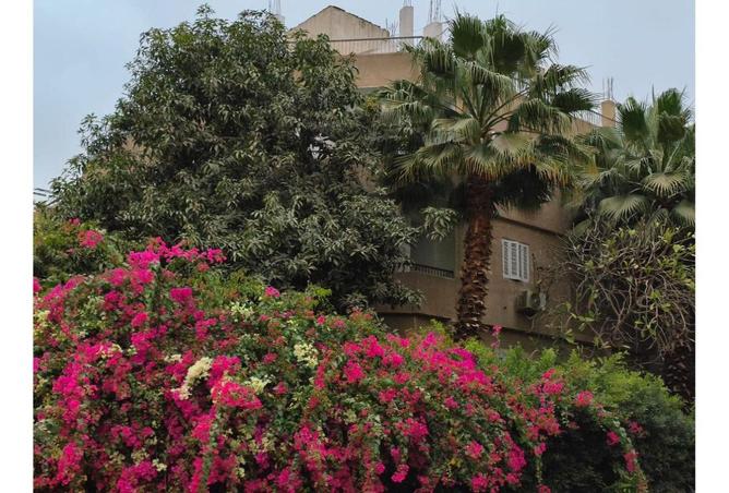 58738644 - الصورة الرئيسية للعقار