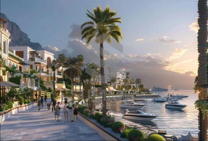 53478968 - صورة العقار 3