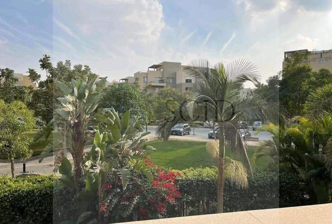 58496970 - Property Image 2