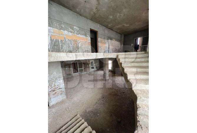 68799962 - Property Image 3