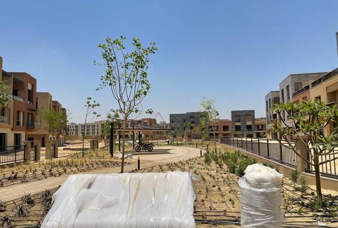 54498916 - Property Image 2