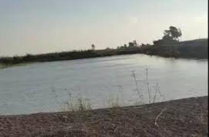 Land - Studio for sale in Kafr El Sheikh City - Kafr El Sheikh