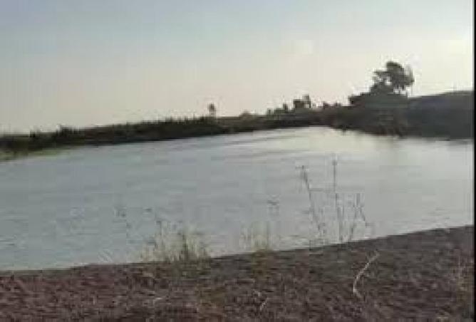 72458381 - صورة العقار 3