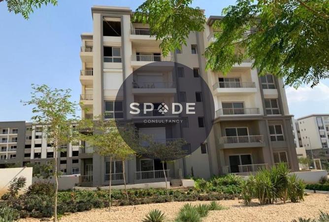 52193554 - صورة العقار 3