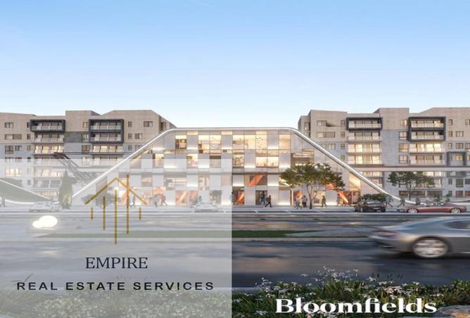 61686662 - Property Image 3