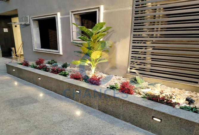 62890629 - Property Image 2