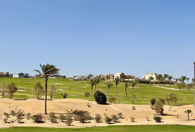 99121189 - صورة العقار 3