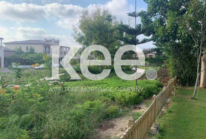 61691074 - صورة العقار 3