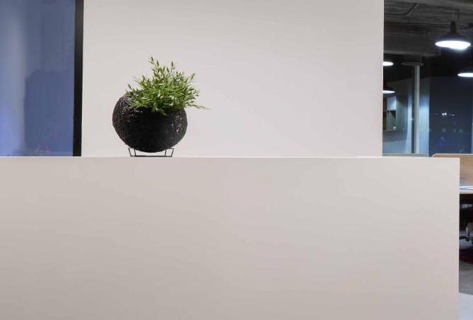 8603574 - صورة العقار 3