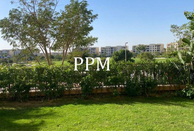 83667478 - صورة العقار 3
