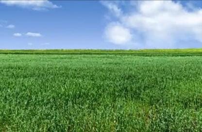 Farm - Studio for sale in 6 October City - Giza