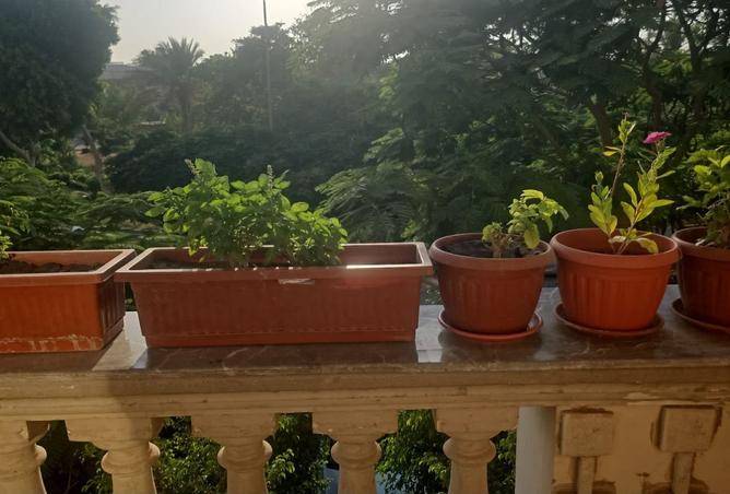 97717978 - صورة العقار 2