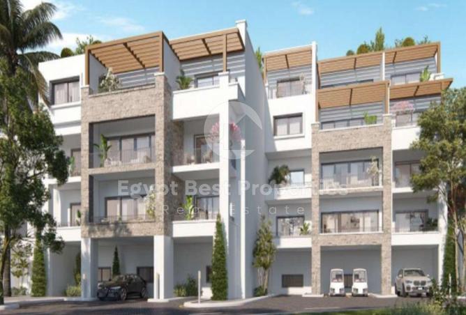 8605970 - Property Image 3