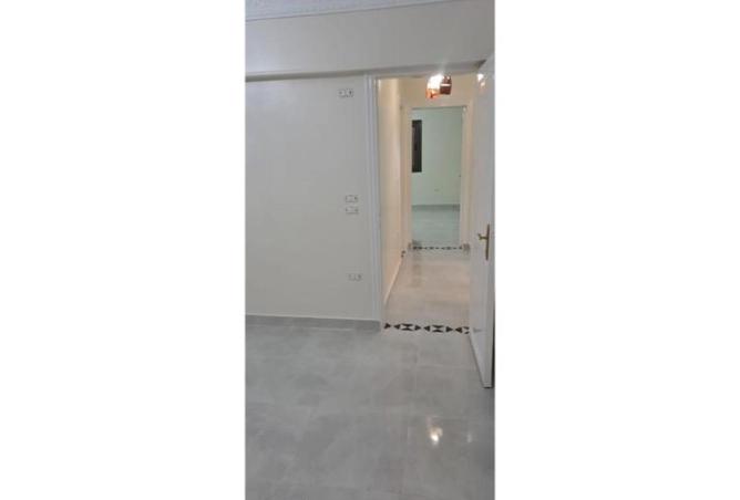 54745681 - Property Image 3