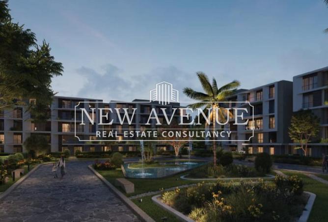 62173451 - Property Image 3