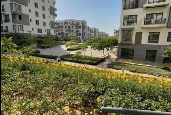 99804887 - Property Image 3