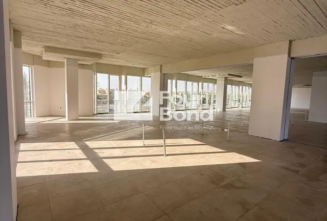 112710867 - Property Image 2