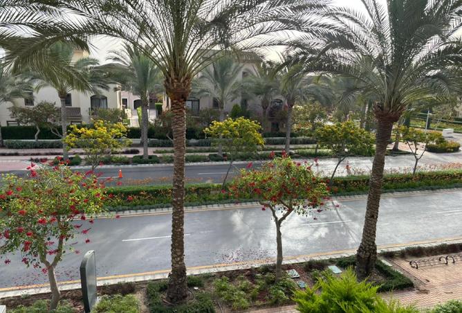 97715828 - صورة العقار 2