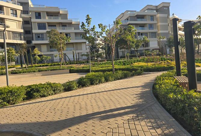 67996527 - صورة العقار 3