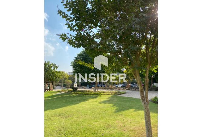 67741568 - صورة العقار 2