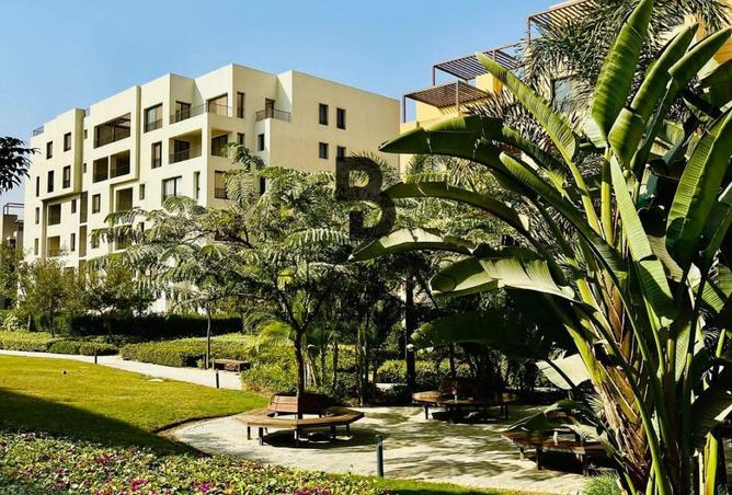 66961670 - Property Image 3