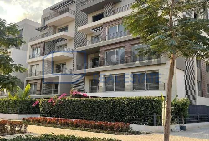 62407787 - Property Image 3