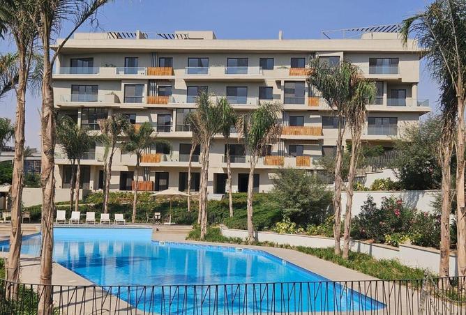 55501386 - صورة العقار 3