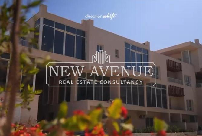 66953034 - Property Image 3