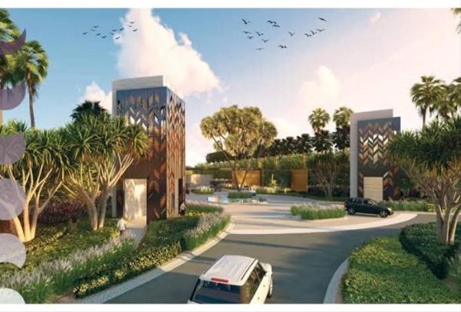 67480771 - Property Image 3