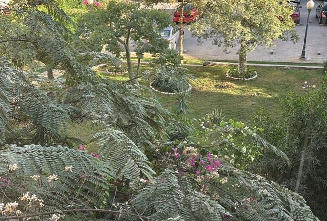 70623019 - صورة العقار 3