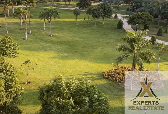 57499356 - صورة العقار 2